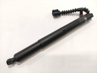 амортизатор капота Rivian R1T 1 поколение 2022, PT00002386-F