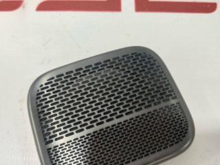 Накладка динамика (сетка) Rivian R1T 1 поколение 2022, PT00013659