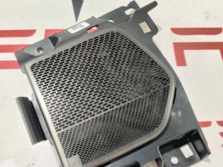 Накладка динамика (сетка) Rivian R1T 1 поколение 2022, PT00030513