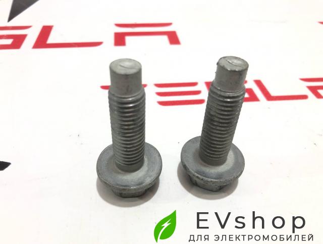 болт Rivian R1T 1 поколение 2022, C200002742-G, PT00001906 - фото №1