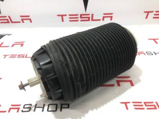 пневмоподушка Rivian R1T 1 поколение 2022, C100001909-J