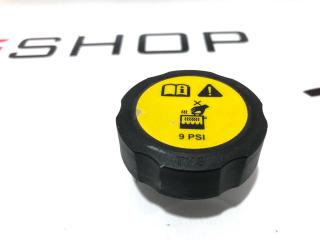 пробка расширительного бачка Rivian R1T 1 поколение 2022, PT00001714