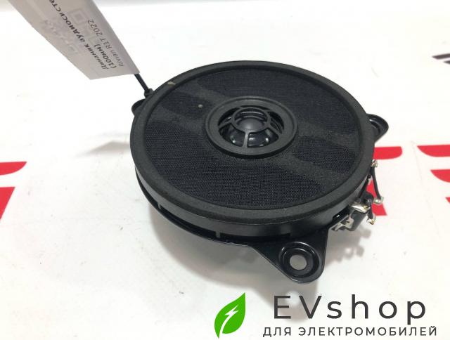 Динамик аудиосистемы (100мм) Rivian R1T 1 поколение 2022, PT00001450-G - фото №1