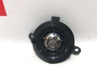 динамик высокочастотный (пищалка) Rivian R1T 1 поколение 2022, PT00041089-B