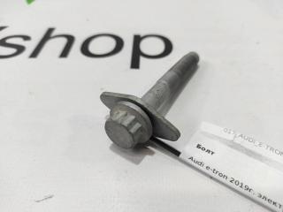 болт Audi e-tron 1 поколение 2019, электро, 4M0.505.425.F, 4M0505292F, WHT007096, 4KE.505.460, 4KE505432, 4KE.505.459, 4KE505431